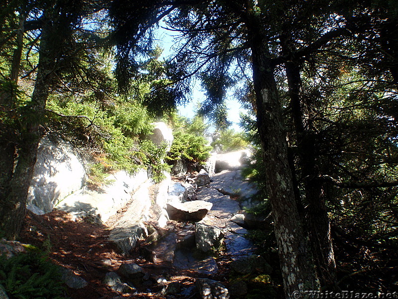 The Trail up Mtn. Cube