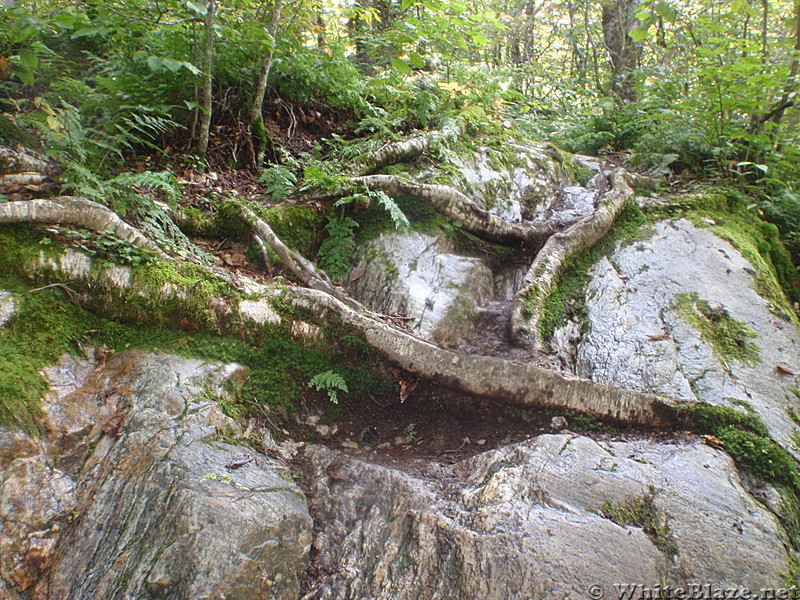 The Appalachian Trail