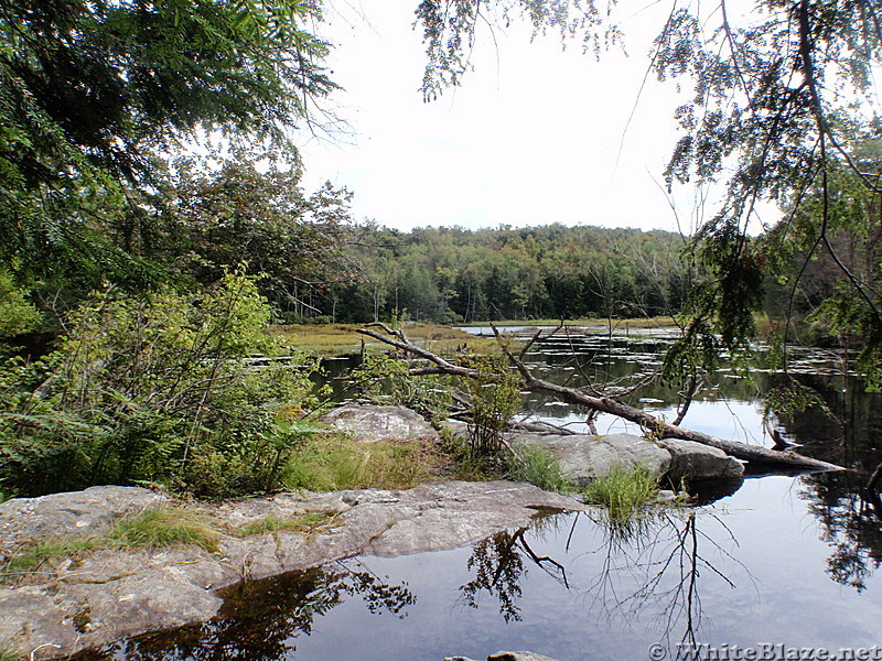 Gore Pond