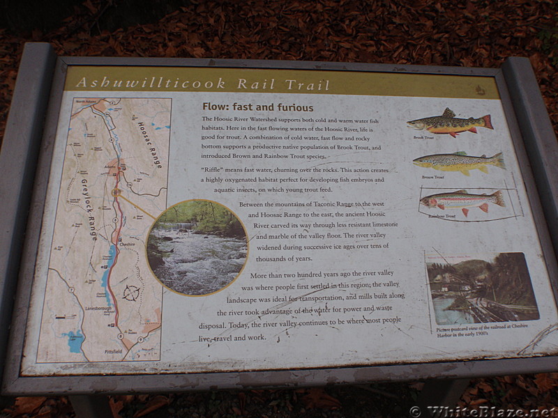 Rail Trail Info