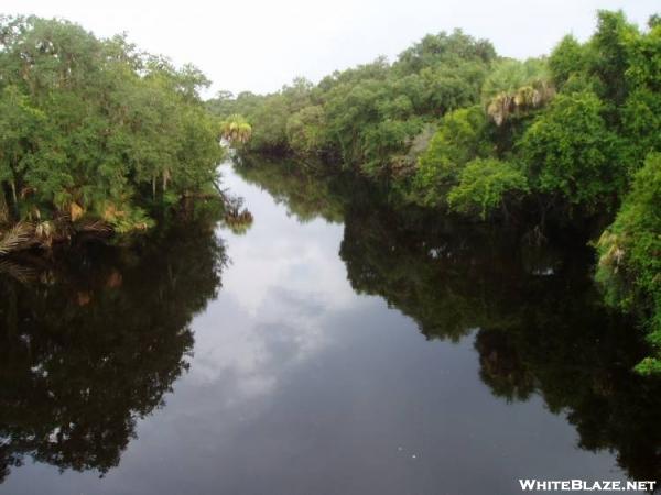 Looking Down Stream Myakka River