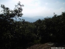 View From Springer Mountain