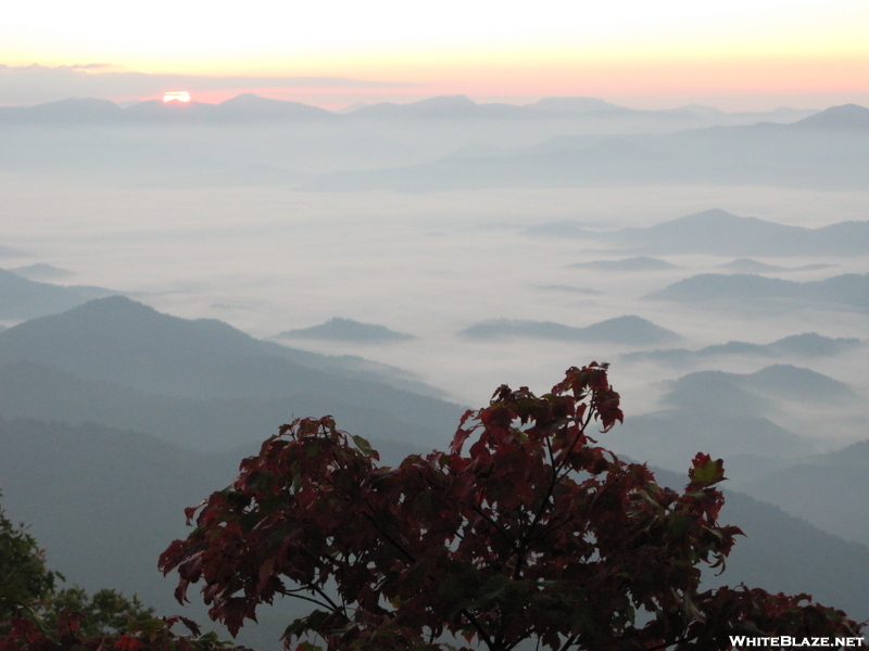 Wayah Bald, Nc