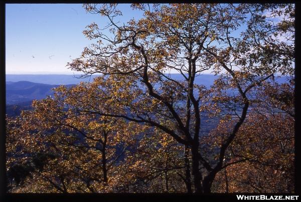 Shenandoah Nat'l Park