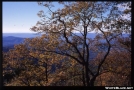 Shenandoah Nat'l Park by BlackCloud in Views in Virginia & West Virginia