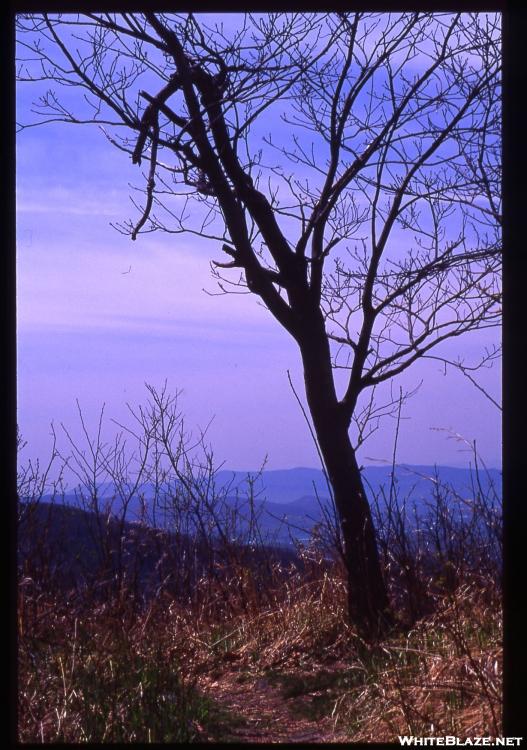 Shenandoah NP, So. District