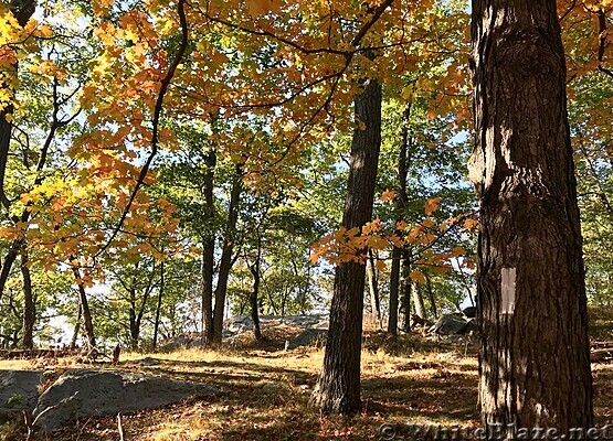 Harriman State Park