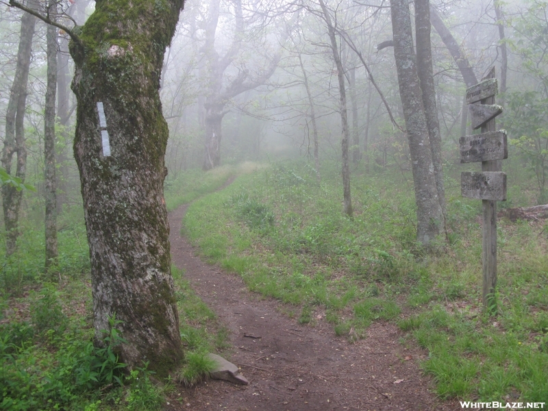 Tray Mountain Shelter Blue Blaze Crossing