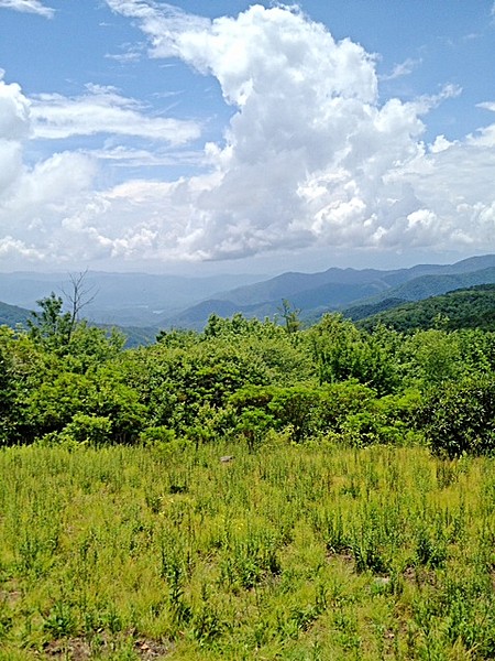 Near Spence Field Shelter