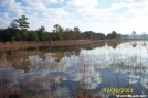 Florida Hiking