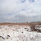 View near Mount Rogers