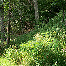 July 2011, Shenandoah National Park - 4 Day Hike