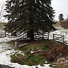 Jim and Molly Shelter by GuyMonday in Virginia & West Virginia Shelters