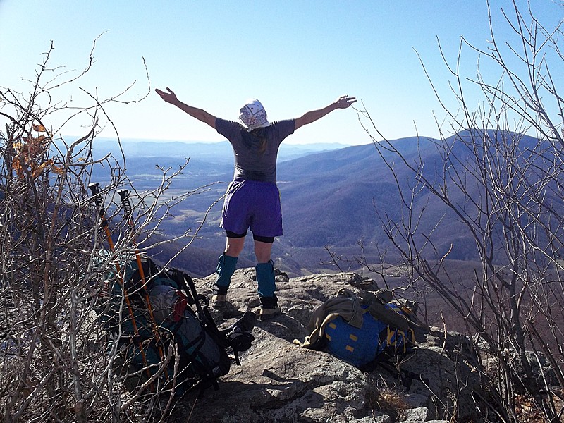 Ocelot on Hanging Rock