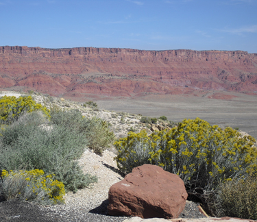 Grand Canyon - North Rim 2011