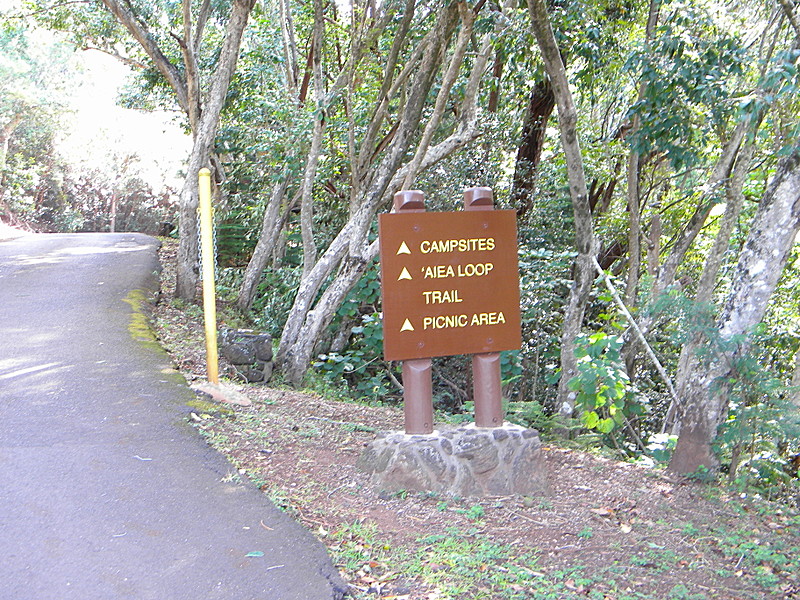 AT Prep Hike: Aiea Loop Trail, Oahu, 4.8 mi