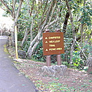 AT Prep Hike: Aiea Loop Trail, Oahu, 4.8 mi by DonnaVO in Other Trails