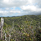 AT Prep Hike: Aiea Loop Trail, Oahu, 4.8 mi by DonnaVO in Other Trails