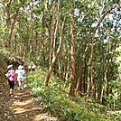 AT Prep: Aiea Loop Trail, Part II by DonnaVO in Other Trails