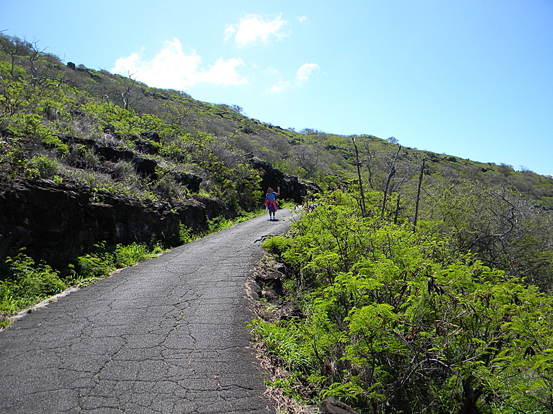 Prepping for the AT 2013: Oahu Hike #1