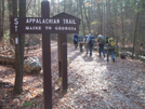 Along The Trail In Pine Grove Furnace Sp