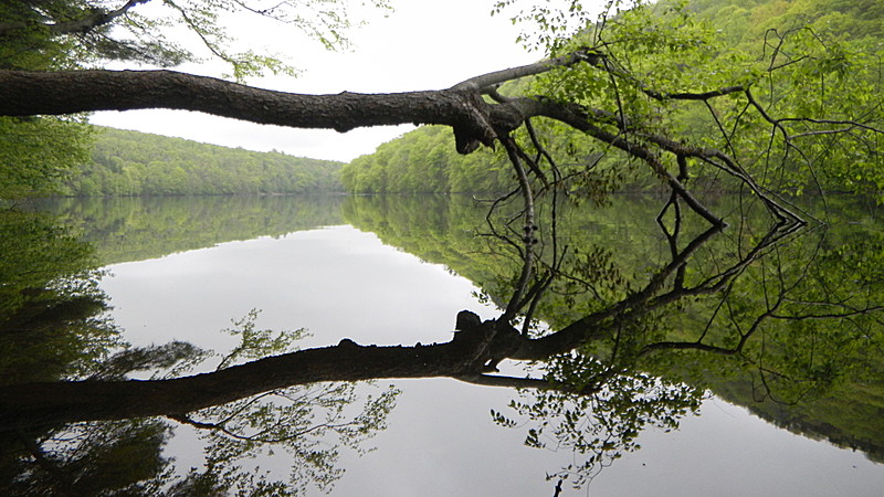 Mattabesett Trail (New England Trail)