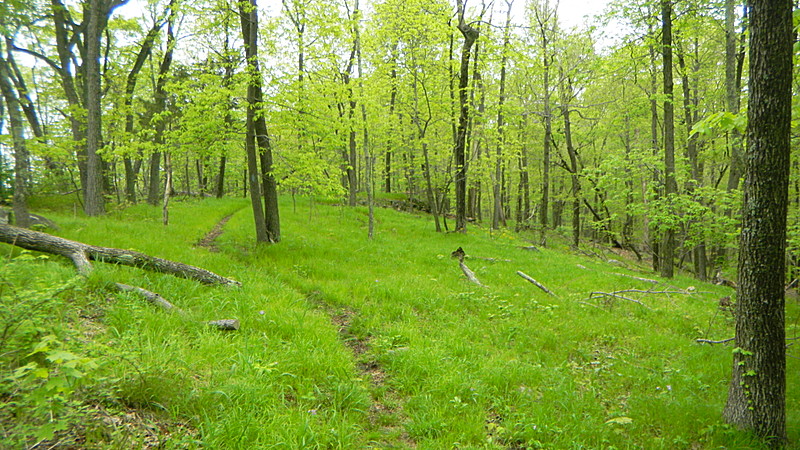 Mattabesett Trail (New England Trail)