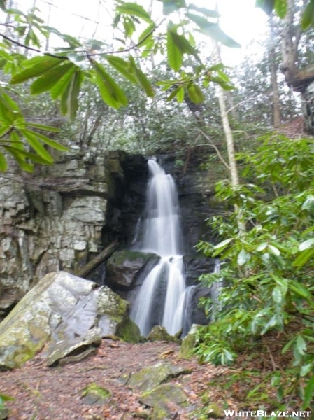 Baskins Creek Gsmnp