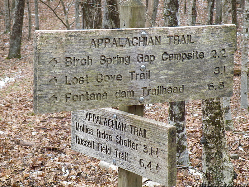 A T sign at the gregory bald trail junction