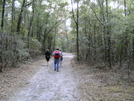 Black Creek Ravines, Fla 1/1/11 by chiefduffy in Day Hikers