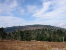 Mt. Rogers From a Distance by wmcquate in Views in Virginia & West Virginia