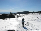 Grayson Highlands in Winter by wmcquate in Views in Virginia & West Virginia