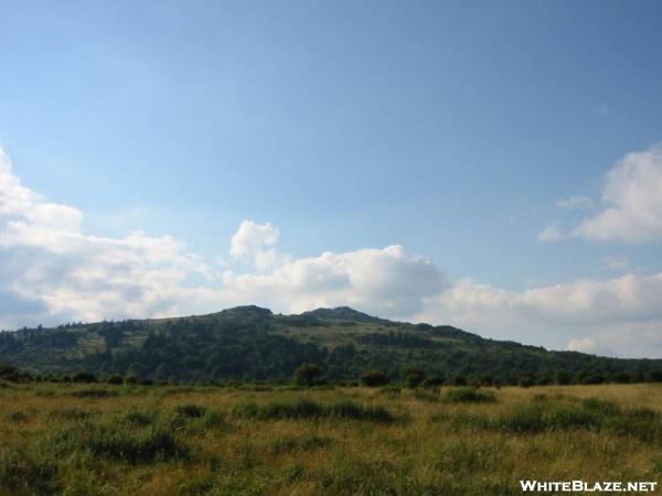 Highlands Near Mt. Rogers