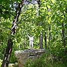 Blood Mountain, GA by BoiledPeanut in Trail & Blazes in Georgia