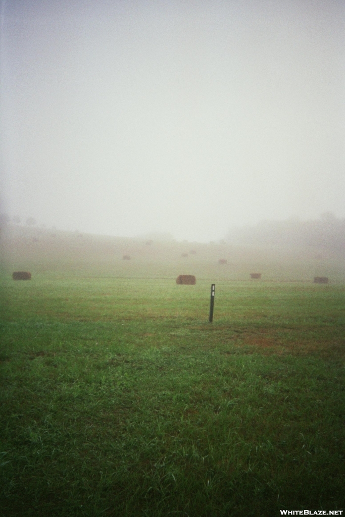 Hay, No Rocks!