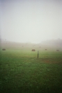 Hay, No Rocks! by Tractor in Trail & Blazes in Maryland & Pennsylvania