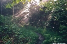 Quiet Trail by Tractor in Trail & Blazes in North Carolina & Tennessee