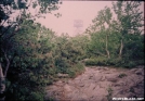 Mt. Everett Summit by DebW in Views in Massachusetts