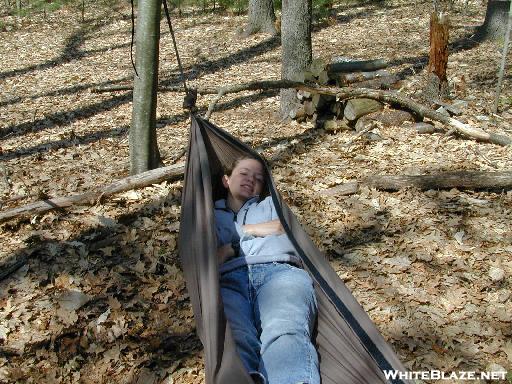 Speer Hammock