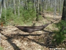 Speer Hammock by DebW in Gear Gallery