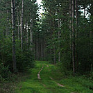 Trail