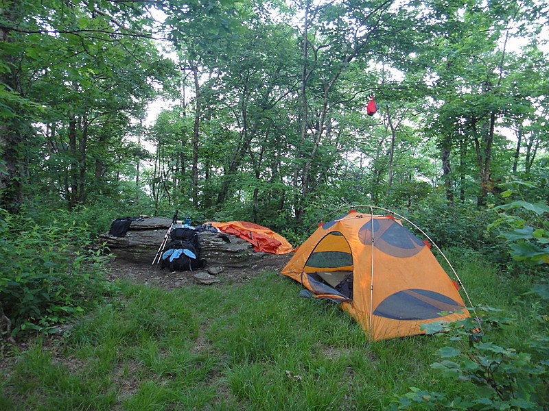 The Summit of Wildcat Mountain