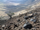 Halina Pali Trail by Happy Feet in Other Trails