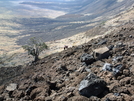 Hawai'i Volcanoes National Park by Happy Feet in Other Trails