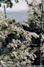 Hoar Frost by Happy Feet in Views in North Carolina & Tennessee