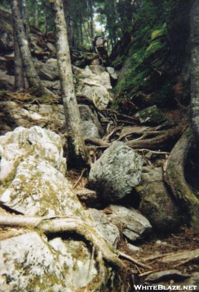 Trail in Maine