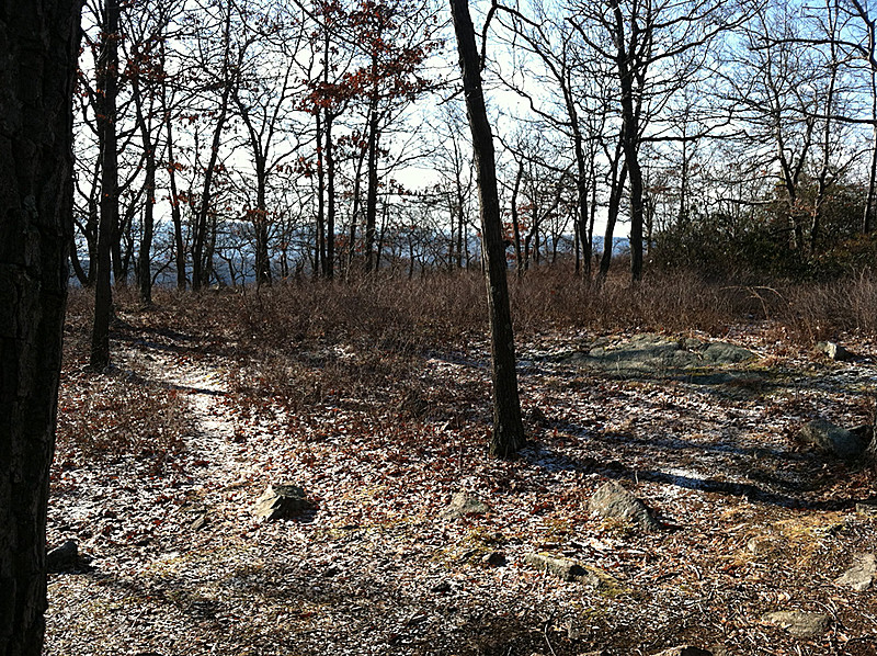 Grounds at West Mountain Shelter, Feb 18, 2012