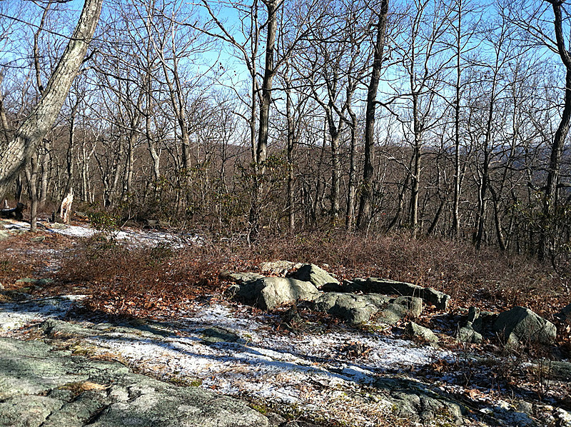 One of many Campsites at  West Mountain Shelter, Feb 18, 2012