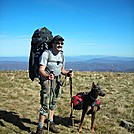 Trail Buddies by BareBerries in Section Hikers