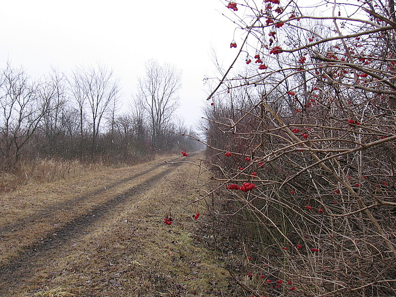 Wabash- Cannonball Trail